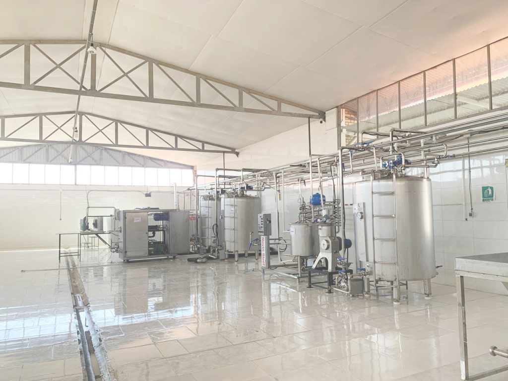 photo 2025 08 27 11 13 46